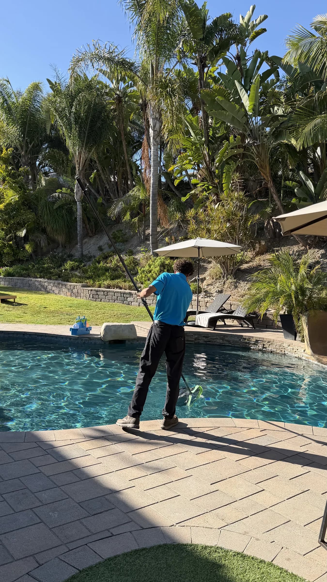 Pool technician in blue shirt using a telescoping pole to clean a backyard pool surrounded by palm trees