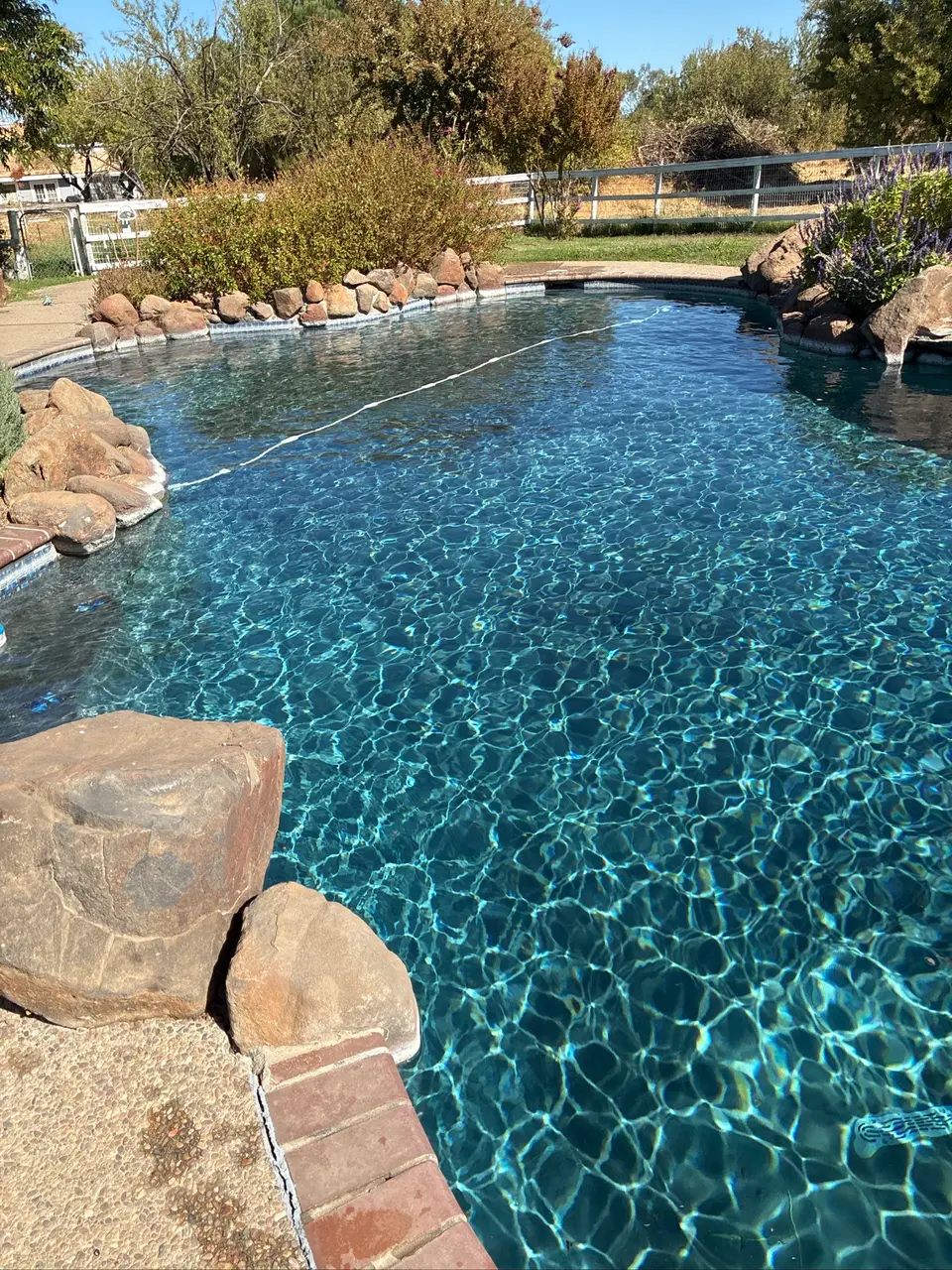 Sparkling blue water fills a curved pool bordered by natural rocks, flowering plants, and trees, after pool service in Antelope, CA