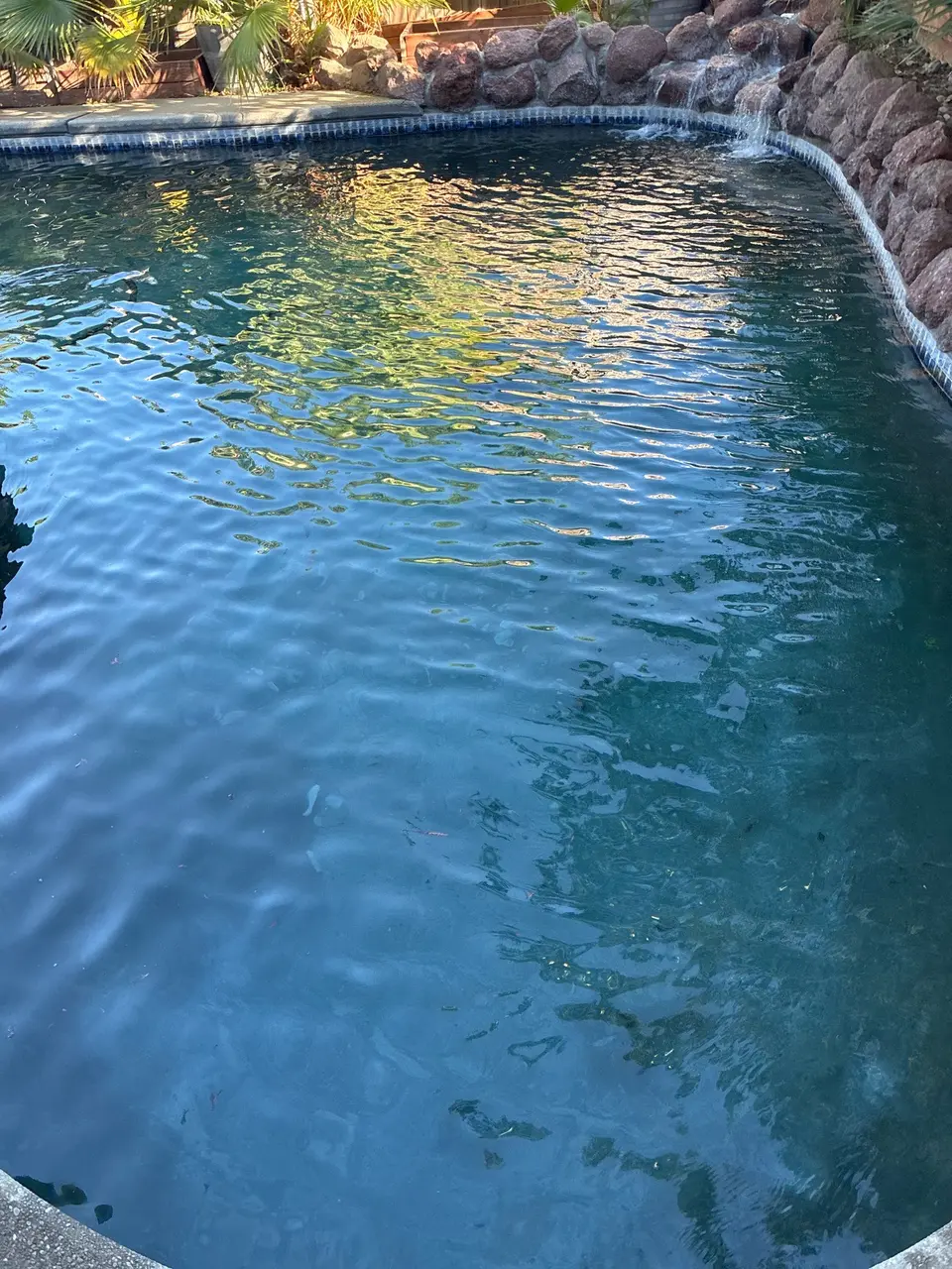 Clear blue pool water ripples beneath a rock waterfall, bordered by blue tile and palms, after pool service in Antelope, CA