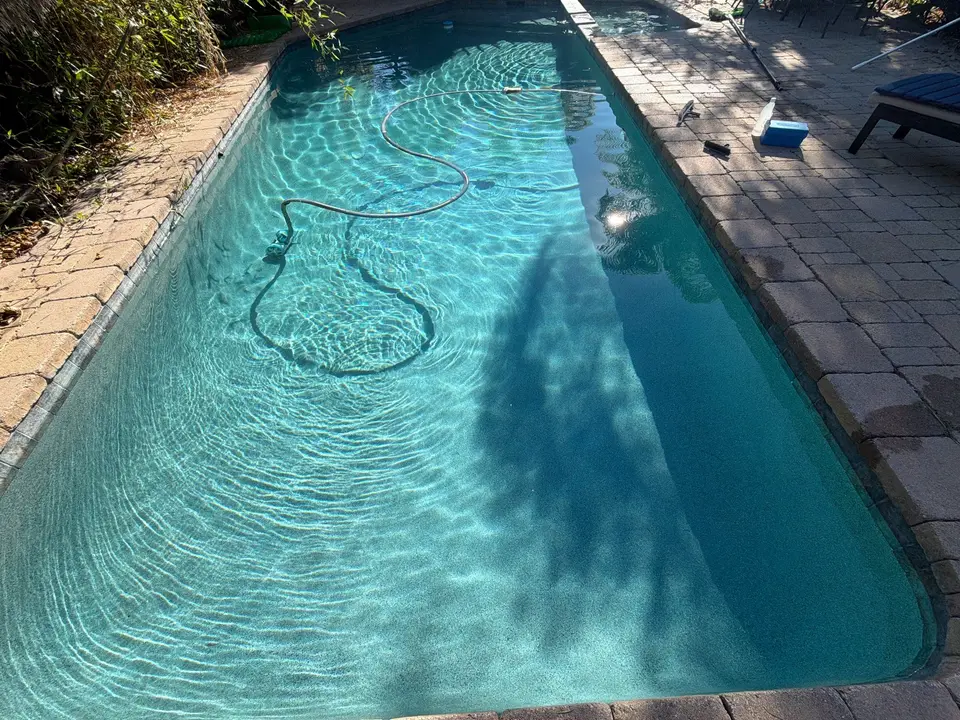 Narrow pool with sparkling turquoise water, rounded corners, a vacuum hose, and surrounding pavers and landscaping, after pool service in Cardiff, CA