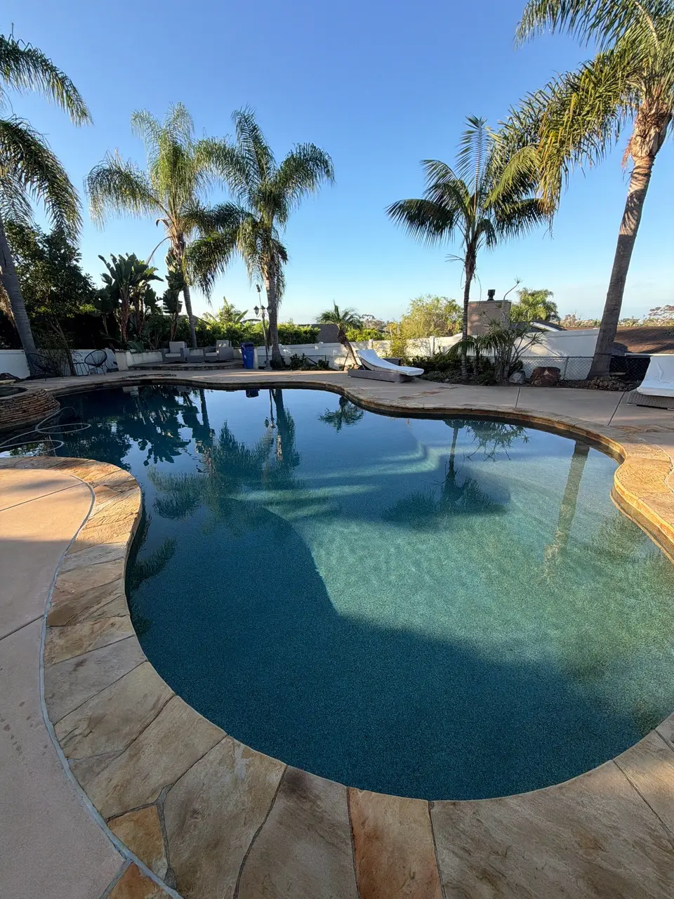 Clear teal water fills a freeform pebble-finish pool with stone coping, submerged steps, and surrounding palms, after pool service in Carlsbad, CA