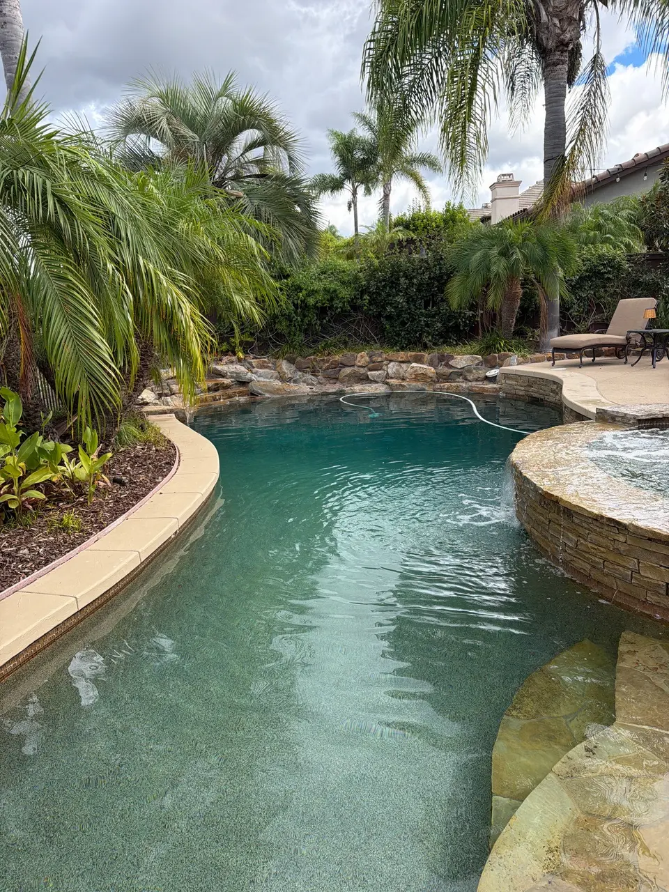 Clear teal water fills a freeform pool beside a raised stone spa, curved steps, and lush palms, after pool service in Carlsbad, CA
