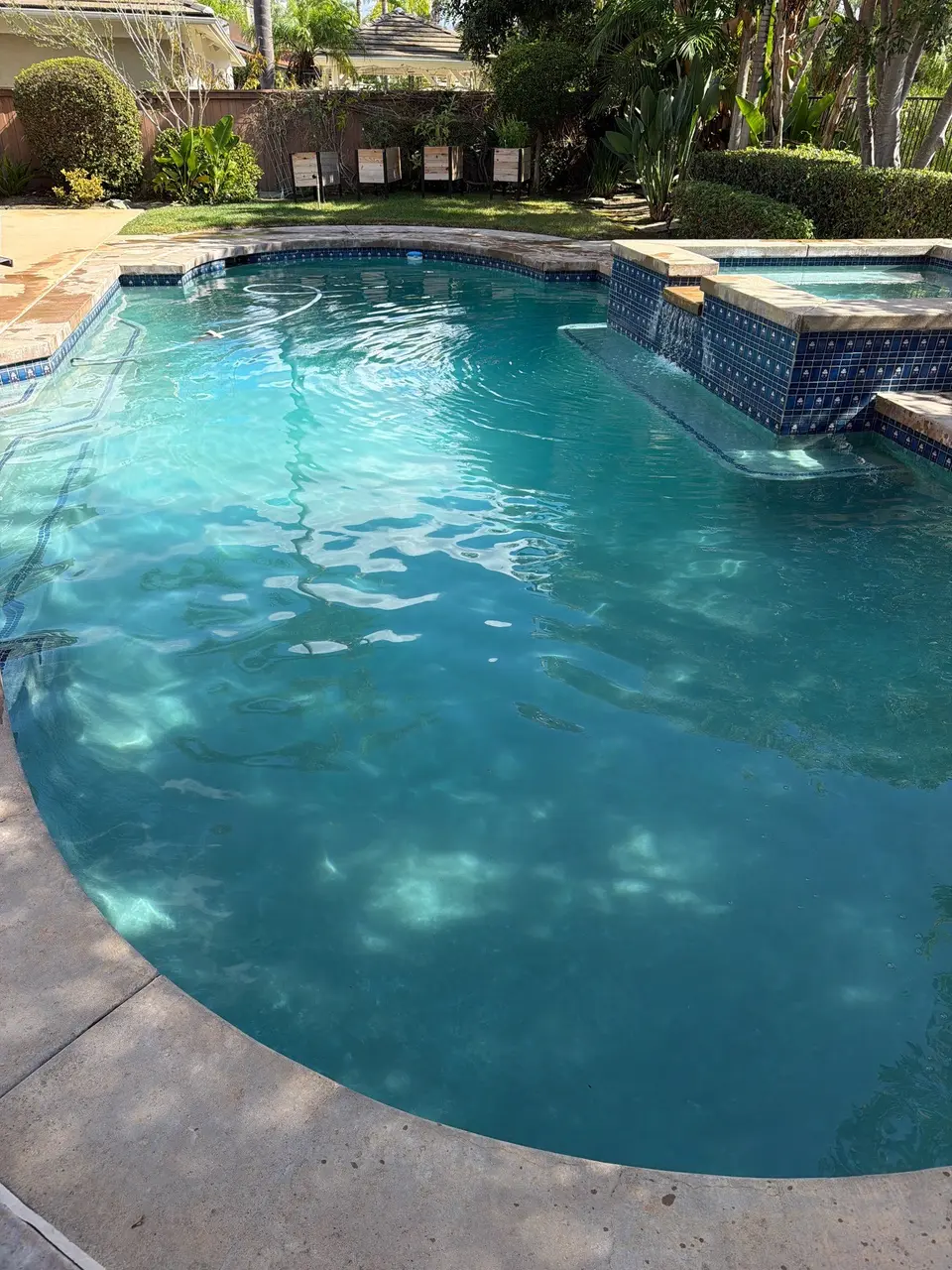 Clear turquoise water fills a curved pool beside a raised blue-tiled spa and tropical landscaping, after pool service in Carlsbad, CA