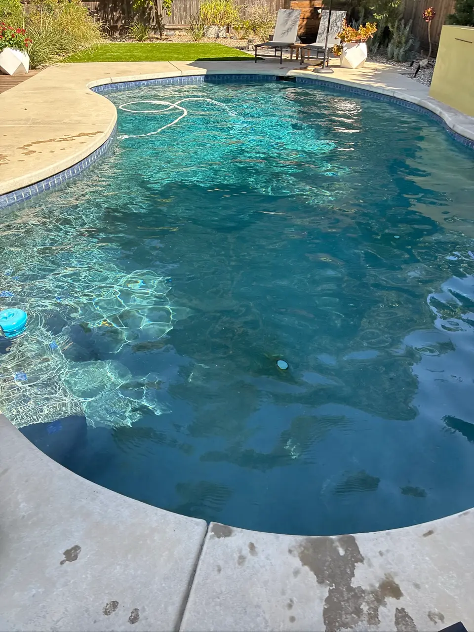 Sparkling turquoise water fills a freeform pool with blue tile, submerged steps, and landscaped surroundings, after pool service in Carmichael, CA