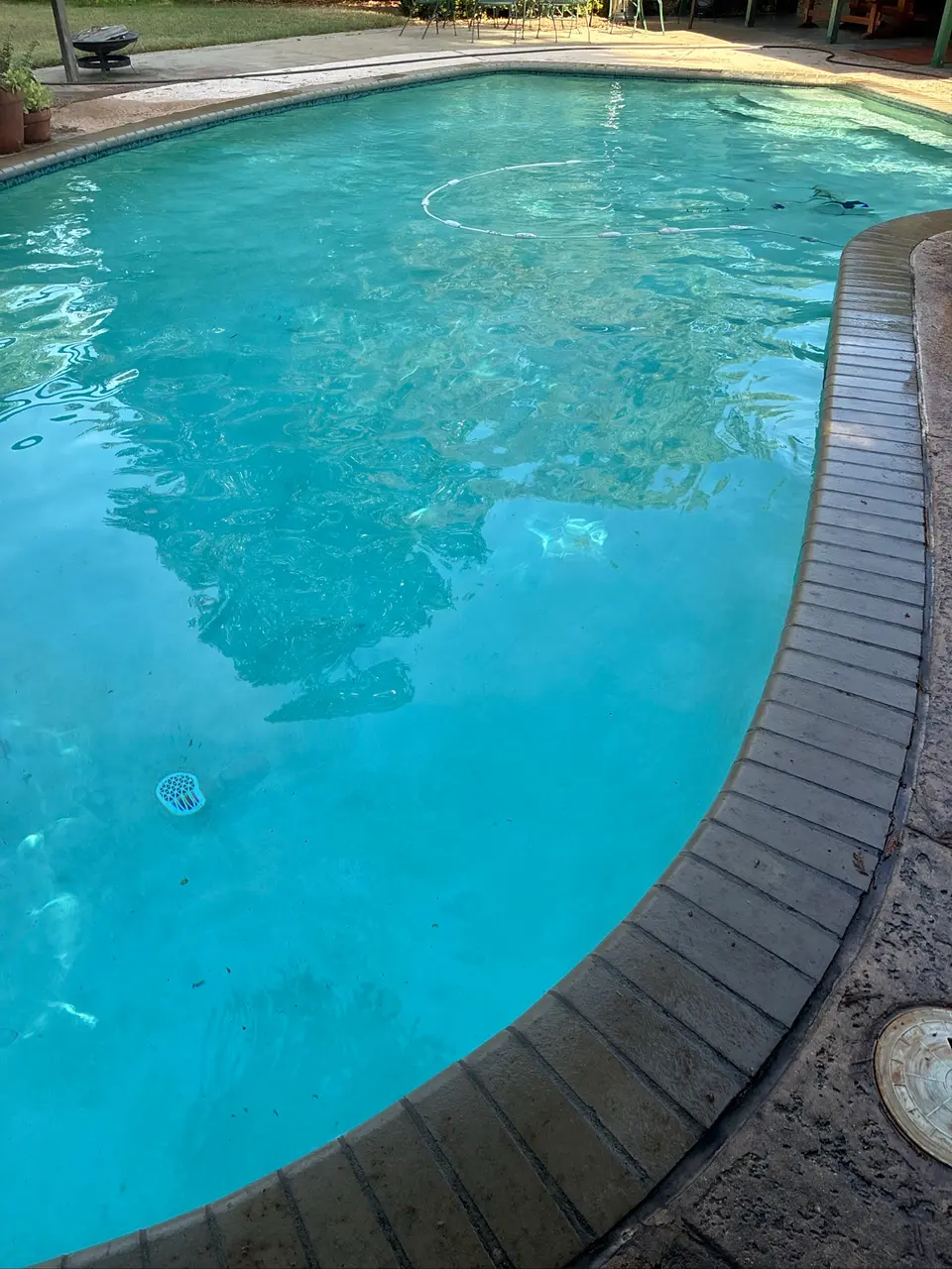 Clear turquoise water fills a curved pool with brick coping, submerged steps, and an automatic cleaner, after pool service in Carmichael, CA