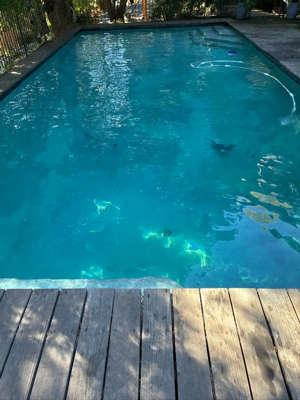 Clear turquoise water fills a rectangular pool with entry steps, a cleaner hose, and surrounding wooden decking, after pool service in Carmichael, CA