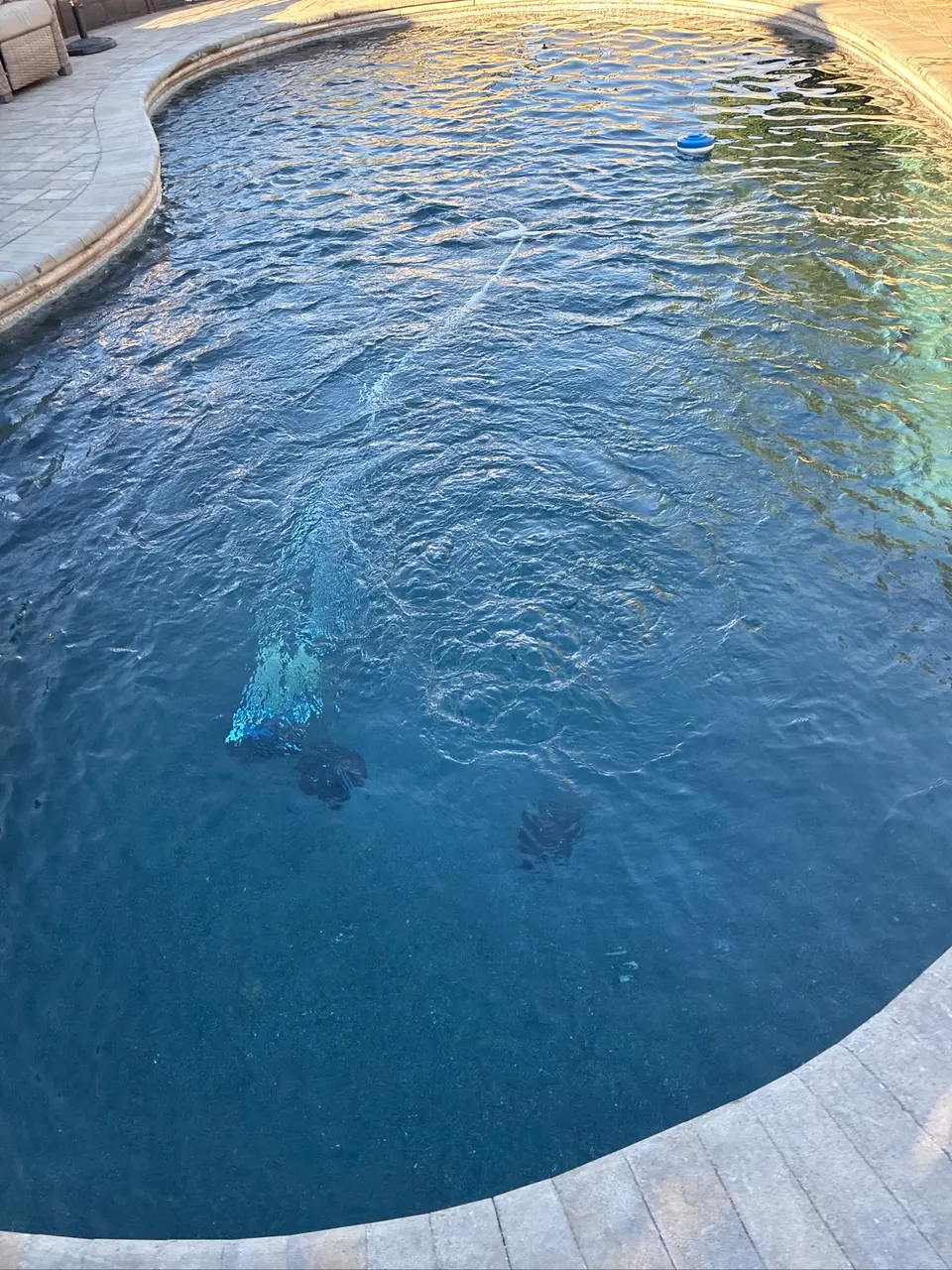 Clear blue water fills a curved pool with stone coping, paver decking, and a submerged cleaner, after pool service in Carmichael, CA