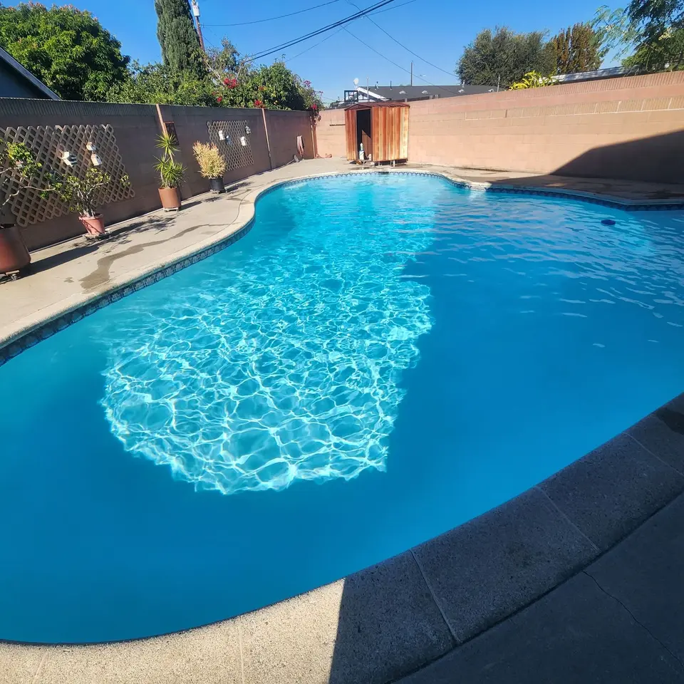 Freeform pool with sparkling blue water, decorative waterline tile, concrete decking, and surrounding potted plants, after pool service in Carson, CA