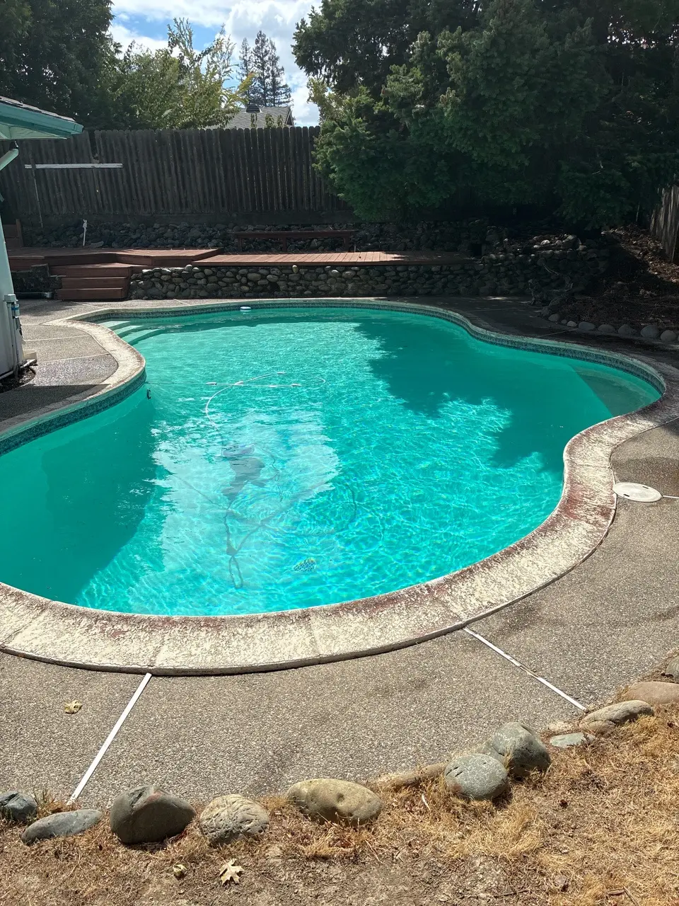 Freeform pool with sparkling turquoise water, entry steps, stone retaining walls, and mature surrounding trees, after pool service in Citrus Heights, CA