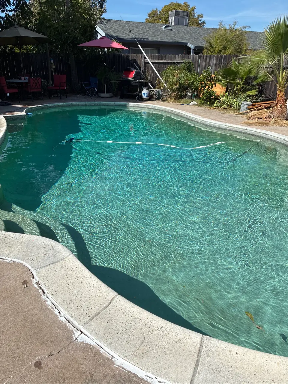 Clear turquoise water fills a curved pool with submerged steps, a textured finish, and surrounding palms, after pool service in Citrus Heights, CA