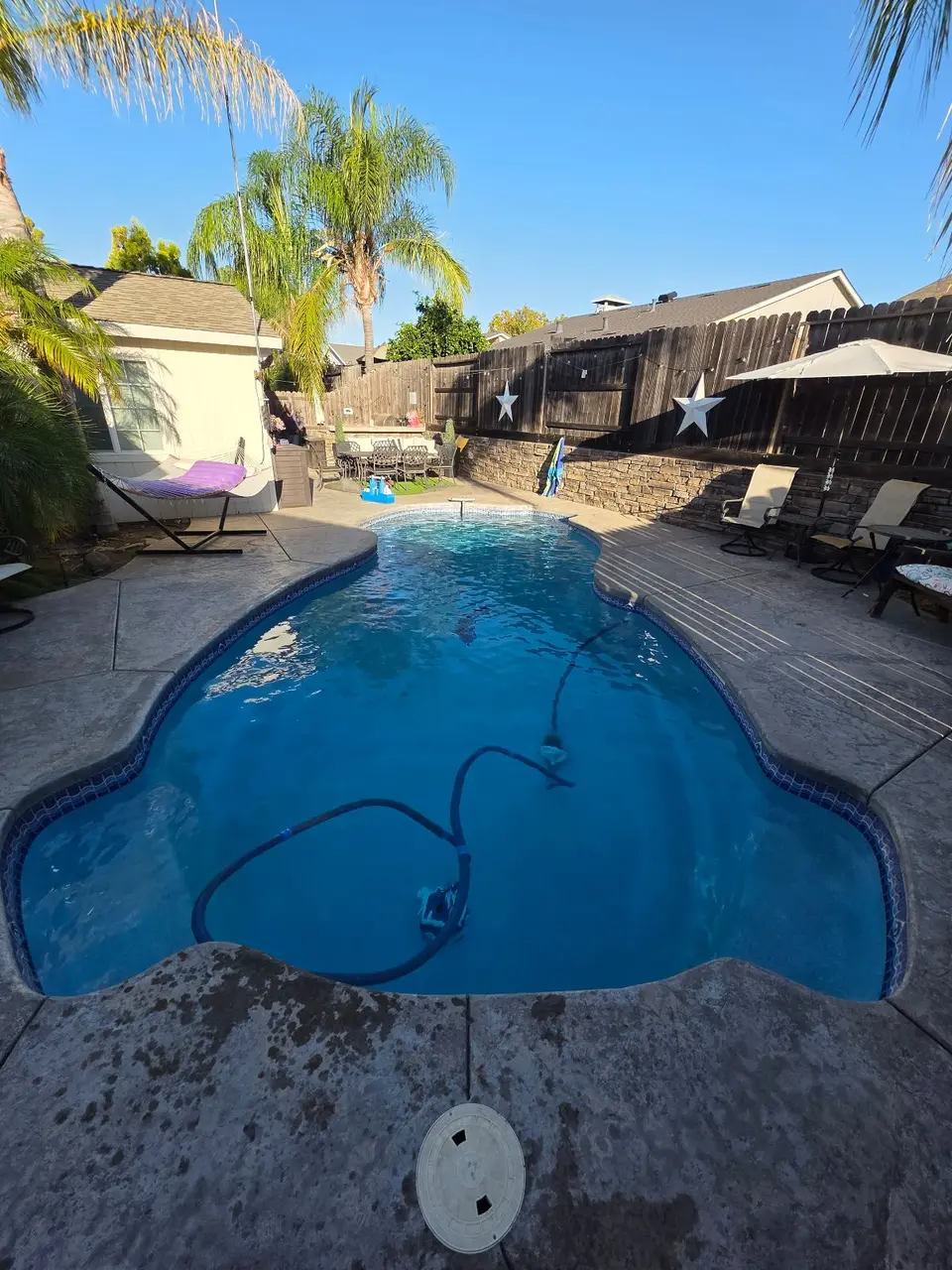 Clear blue water fills a freeform pool with blue tile, palm landscaping, and a visible vacuum hose, after pool service in Citrus Heights, CA