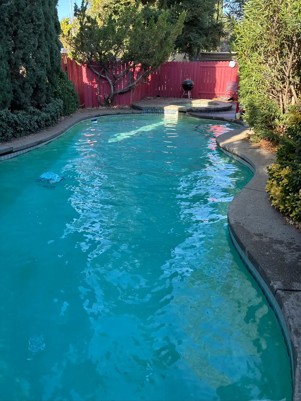 Clear turquoise water fills a freeform pool with a raised round spa and dense surrounding landscaping, after pool service in Citrus Heights, CA