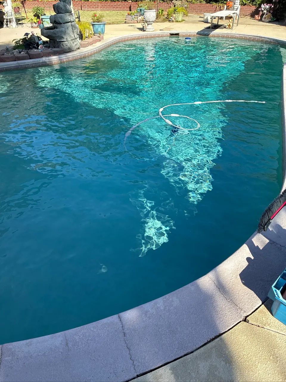 Clear turquoise water fills a freeform pool with a rock waterfall, waterline tile, and floating cleaner hose, after pool service in Citrus Heights, CA