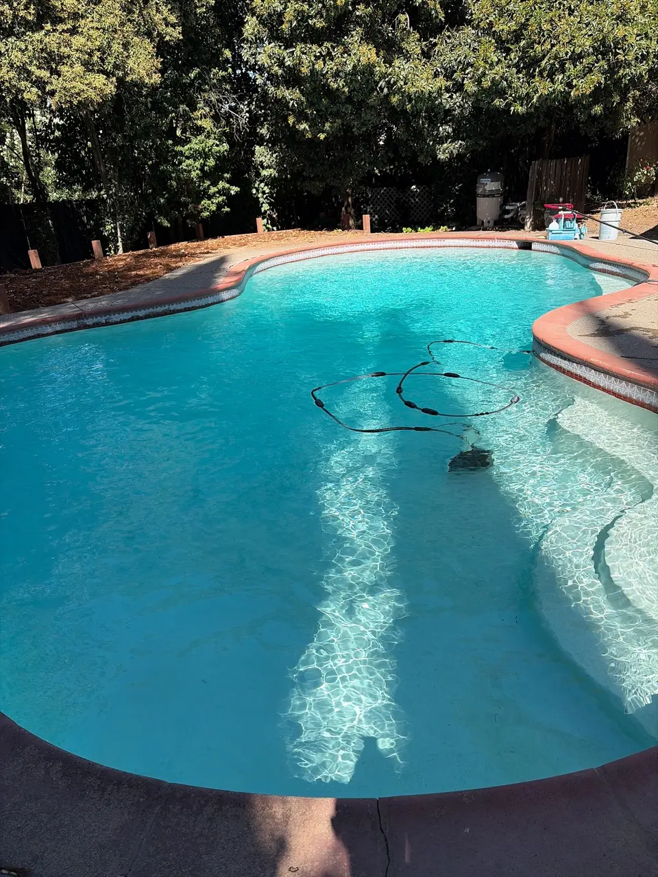 Clear turquoise water fills a freeform pool with curved entry steps, decorative tile, and surrounding trees, after pool service in Citrus Heights, CA