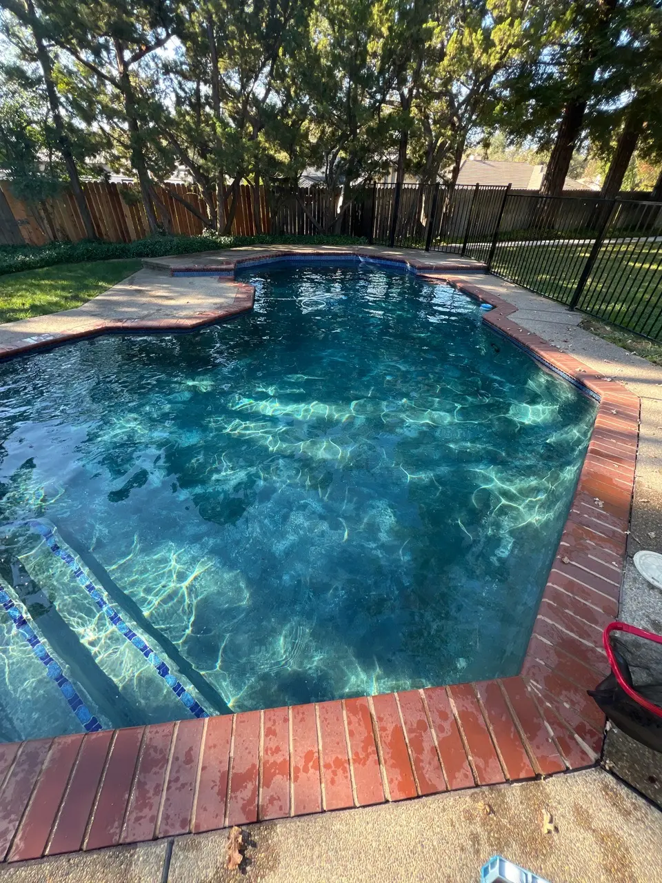 Sparkling blue water fills a freeform pool with tiled entry steps, brick coping, and surrounding trees, after pool service in Citrus Heights, CA