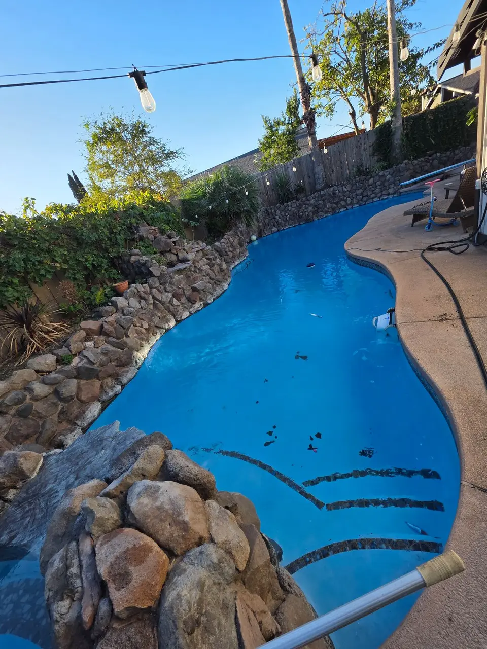 Clear blue water fills a freeform pool with rock edging, curved steps, and surrounding tropical landscaping, after pool service in Citrus Heights, CA