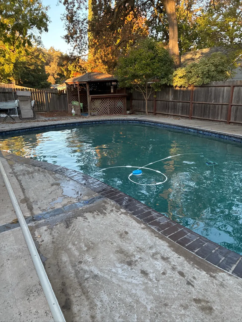 Clear teal pool water with brick coping, blue waterline tile, a cleaner hose, and surrounding trees, after pool service in Citrus Heights, CA