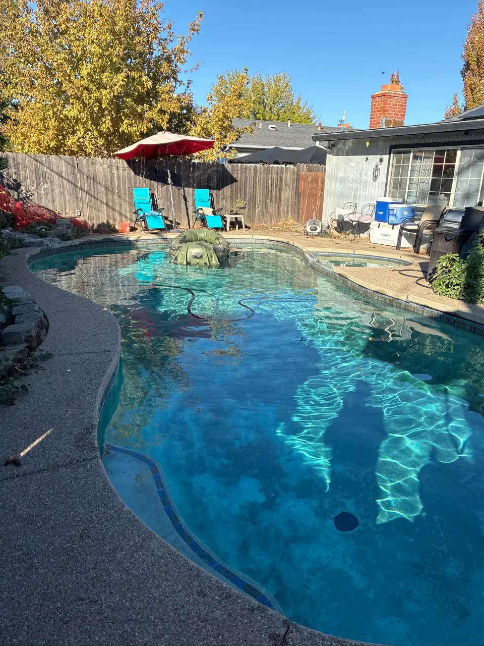 Clear blue water fills a freeform pool with an attached spa, blue tile, and a turtle-shaped float, after pool service in Citrus Heights, CA