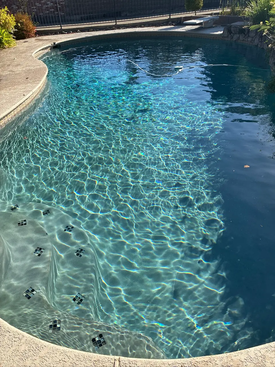 Sparkling blue water reveals tile-accented entry steps in a curved pool with rock edging and a diving board, after pool service in Citrus Heights, CA