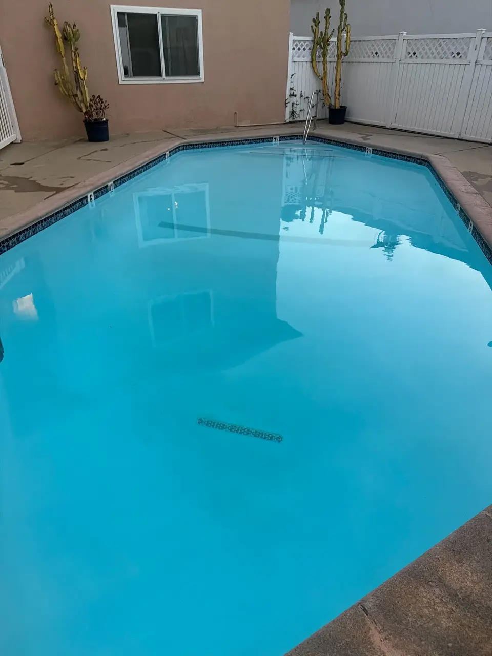 Clear turquoise pool with dark waterline tile, a metal ladder, concrete decking, and potted cacti, after pool service in El Segundo, CA