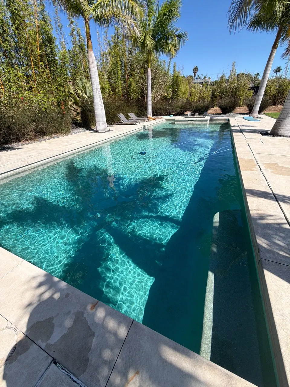 Sparkling turquoise water fills a rectangular pool with a raised spa, submerged bench, and surrounding palms, after pool service in Encinitas, CA
