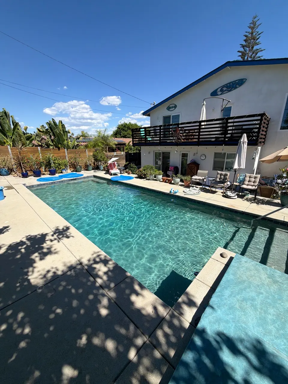 Pool and raised spa with sparkling turquoise water, entry steps, tiled edges, and tropical plants, after pool service in Encinitas, CA