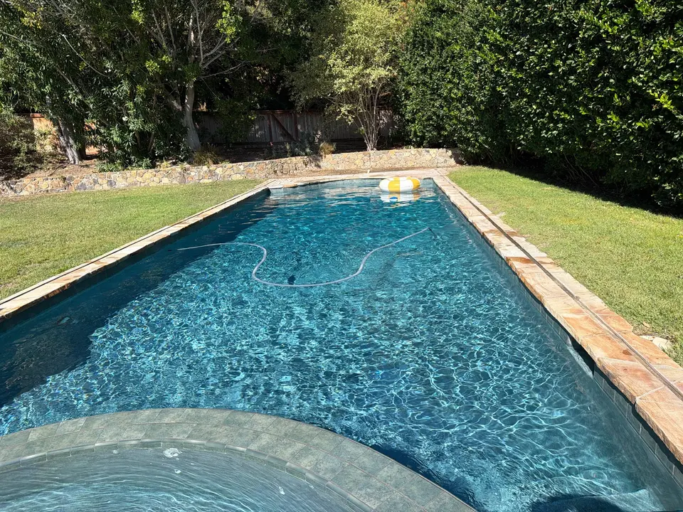 Sparkling blue pool with a curved tiled spa, stone coping, and surrounding lawn and mature trees, after pool service in Encinitas, CA