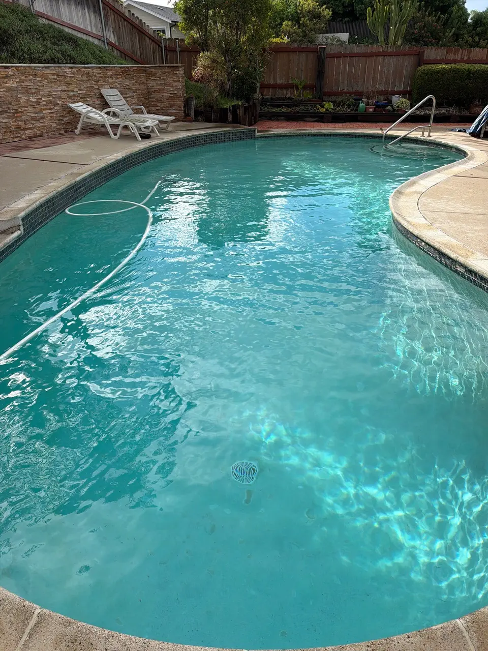 Clear turquoise water fills a curved pool with waterline tile, a handrail, and surrounding landscaping, after pool service in Encinitas, CA