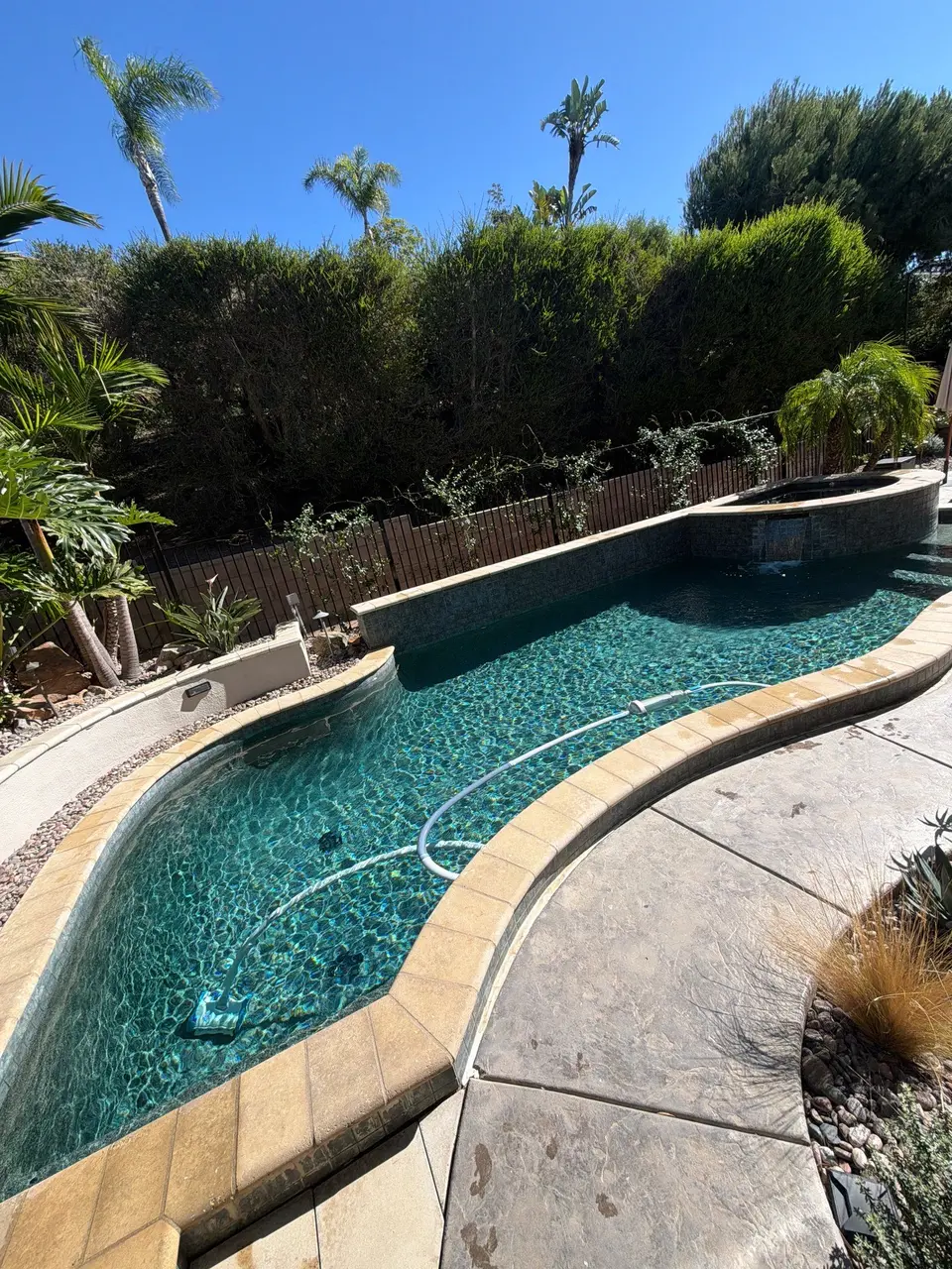 Curved pool with sparkling turquoise water, a raised spillover spa, tan coping, and lush palm landscaping, after pool service in Encinitas, CA