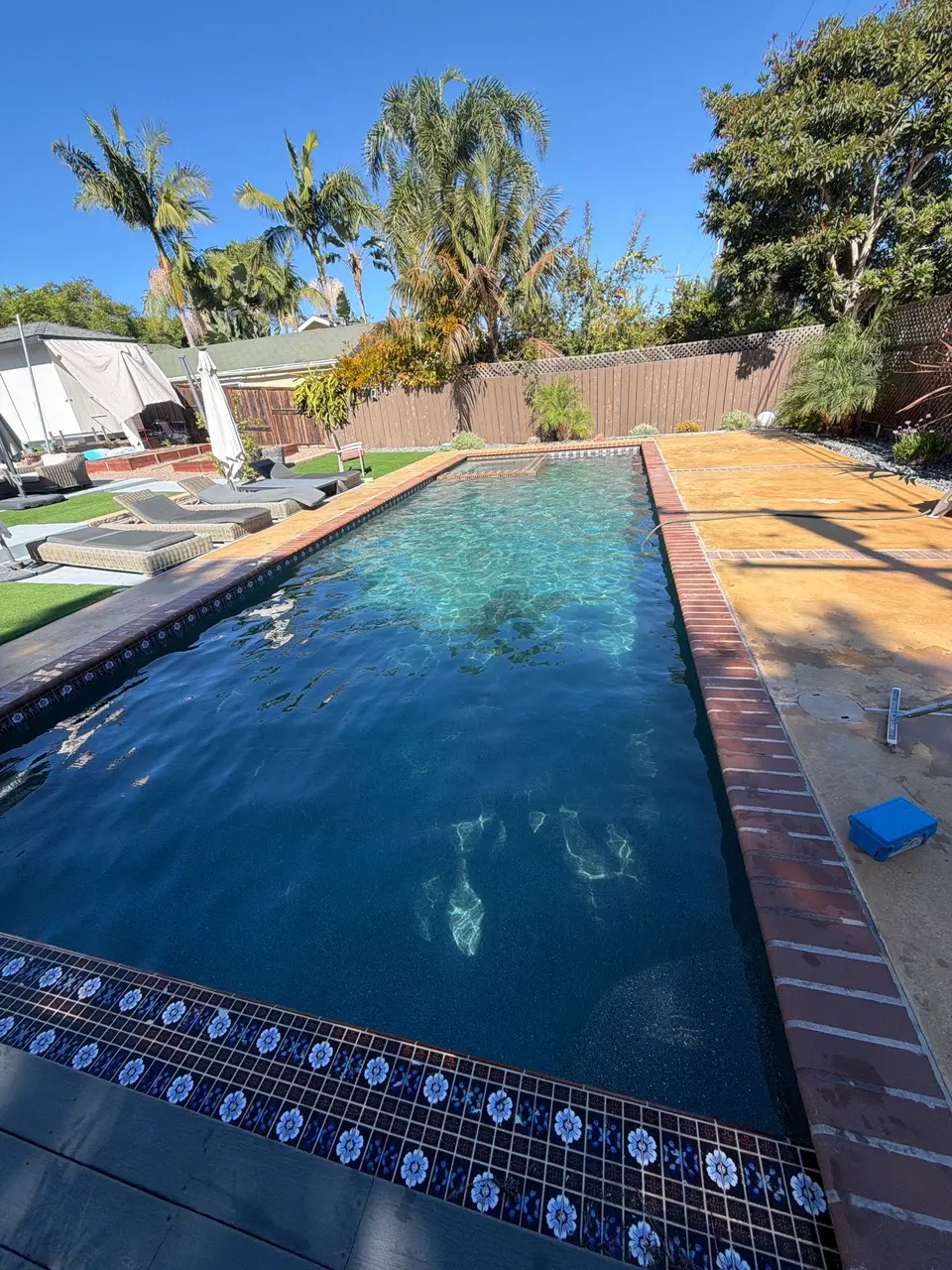 Clear blue water fills a rectangular pool bordered by floral tile, brick coping, loungers, and palm trees, after pool service in Encinitas, CA