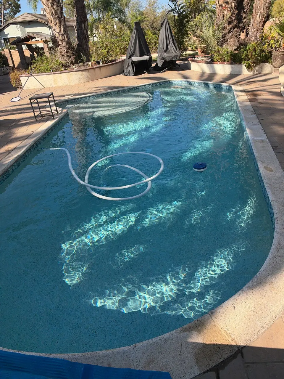 Clear blue pool water reveals broad entry steps, bordered by patterned tile, pavers, and palm landscaping, after pool service in Escondido, CA
