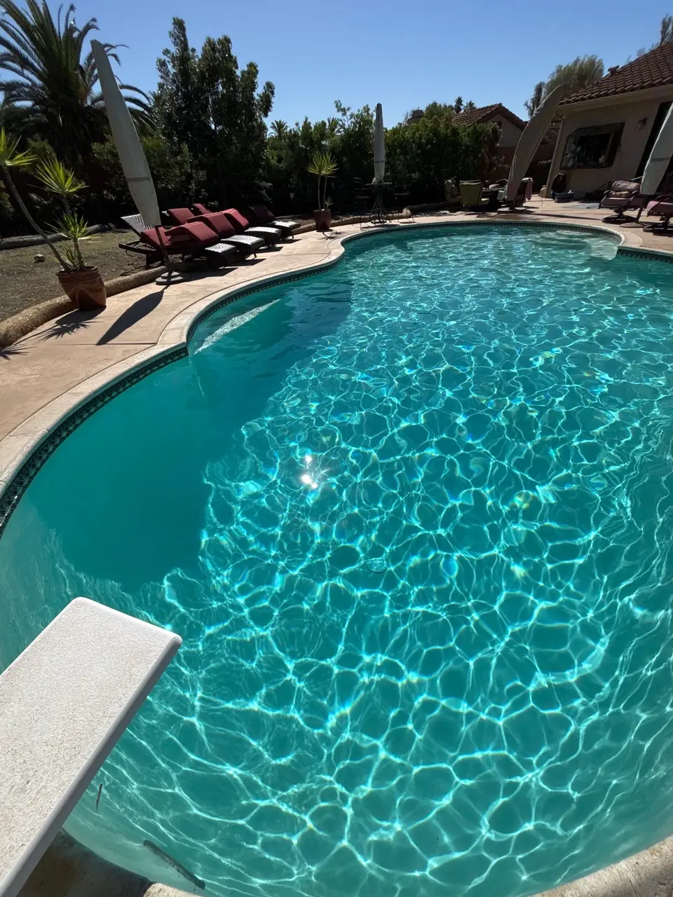 Sparkling turquoise water fills a freeform pool with a diving board, tile waterline, and palm-lined patio, after pool service in Escondido, CA