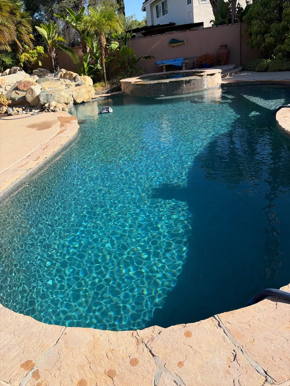 Sparkling turquoise pool with a raised spa, stone coping, rock work, and tropical landscaping, after pool service in Escondido, CA