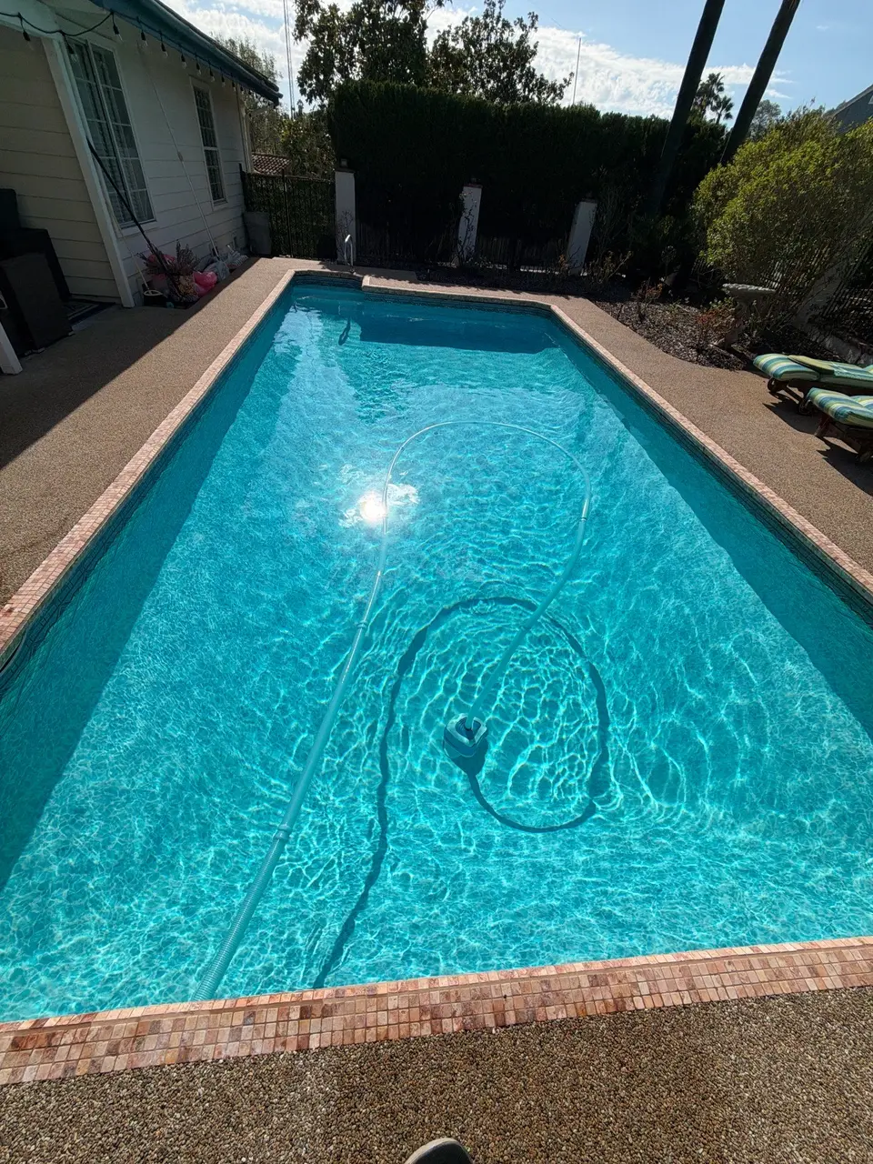 Rectangular pool with sparkling turquoise water, tile coping, an underwater cleaner, and surrounding hedges, after pool service in Escondido, CA