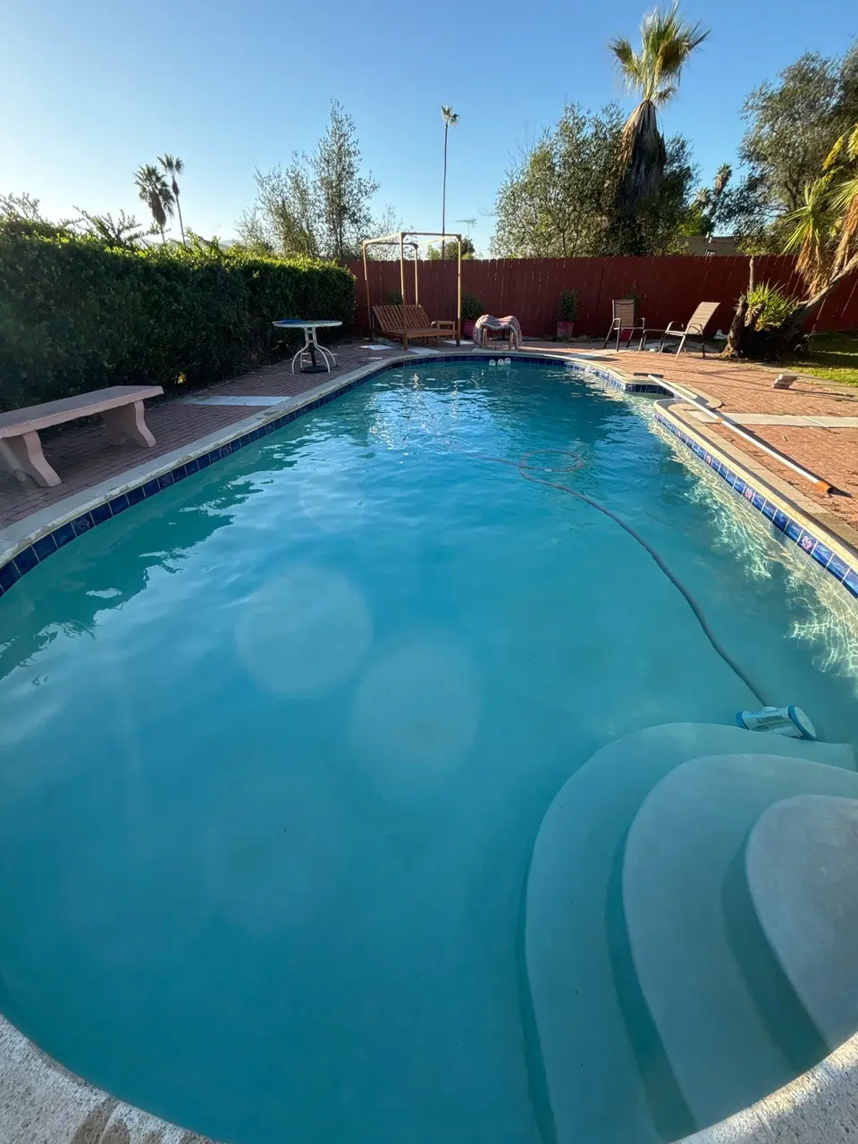 Clear blue water fills a backyard pool with curved entry steps, blue tile, brick decking, and palms, after pool service in Escondido, CA