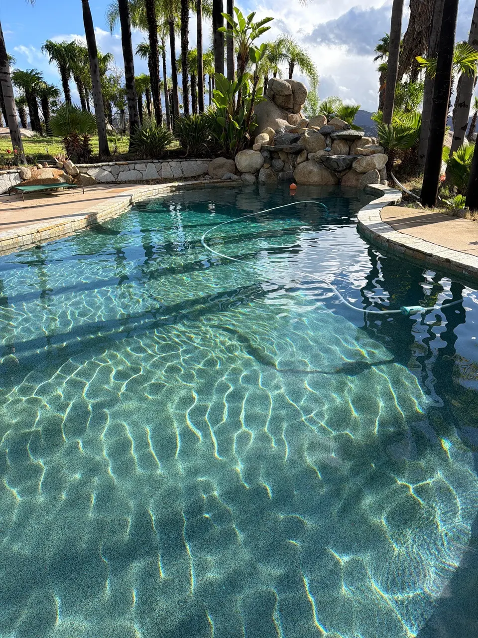 Sparkling turquoise pool with a pebble finish, rock waterfall, stone coping, and lush palm landscaping, after pool service in Escondido, CA