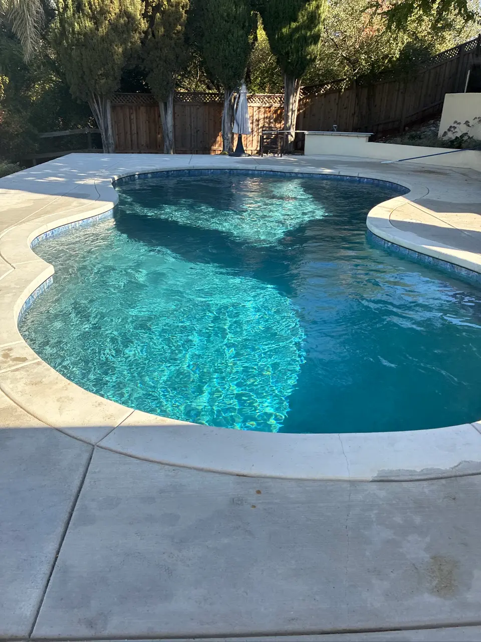Freeform pool with sparkling turquoise water, blue waterline tile, a concrete deck, and mature trees, after pool service in Fair Oaks, CA