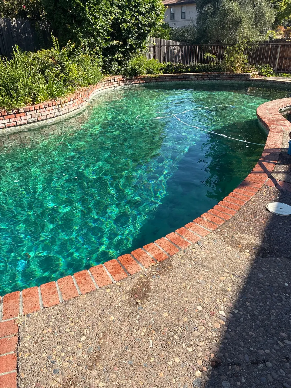 Clear turquoise water fills a curved, dark-finished pool bordered by brick coping and lush landscaping, after pool service in Fair Oaks, CA
