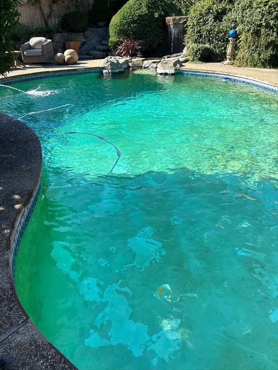 Clear turquoise pool water surrounds a cleaner hose beneath a rock waterfall and dense landscaping, after pool service in Fair Oaks, CA