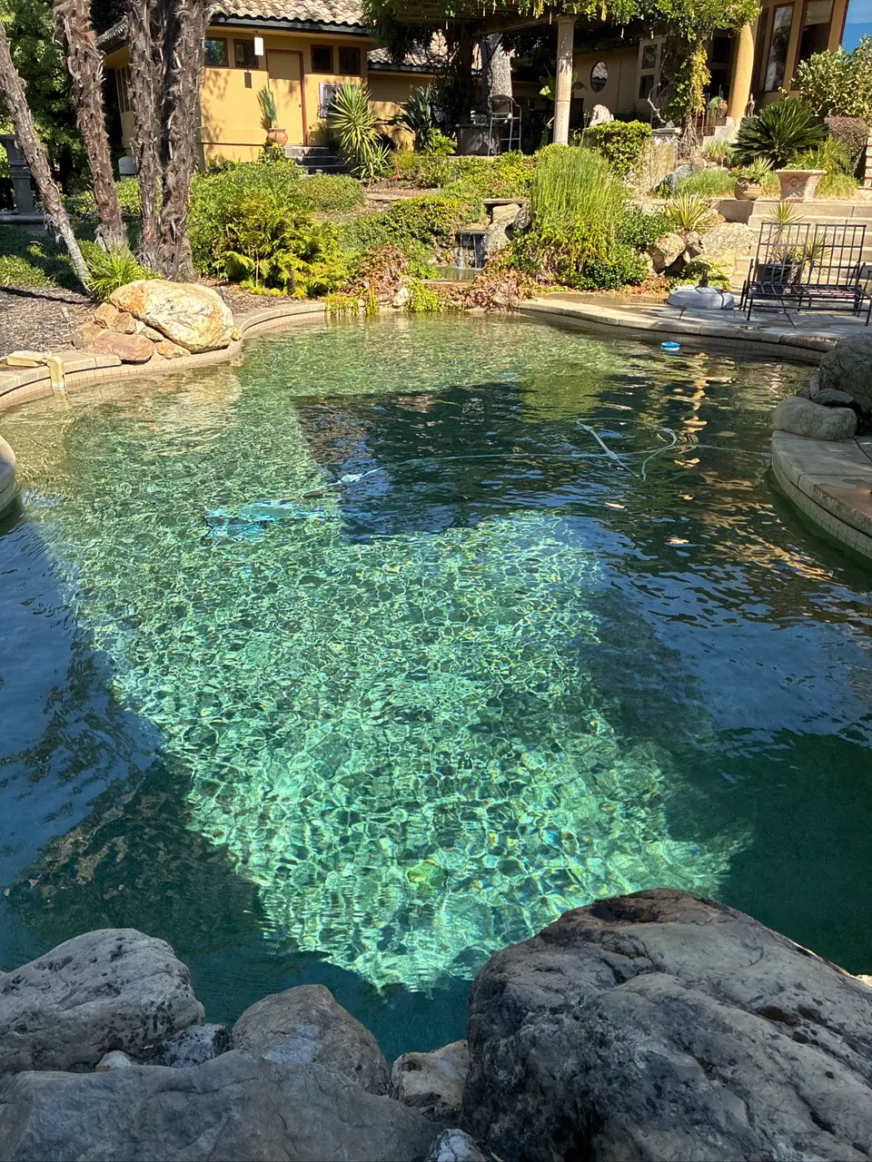 Sparkling turquoise water fills a freeform pool bordered by rocks, lush landscaping, and a small waterfall, after pool service in Fair Oaks, CA