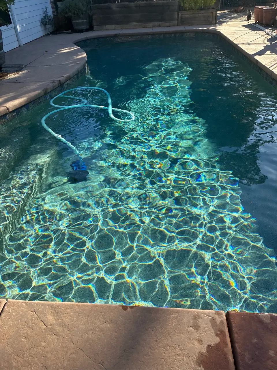 Clear teal water sparkles over a dark pool finish, with curved stone coping and a cleaner hose, after pool service in Fair Oaks, CA