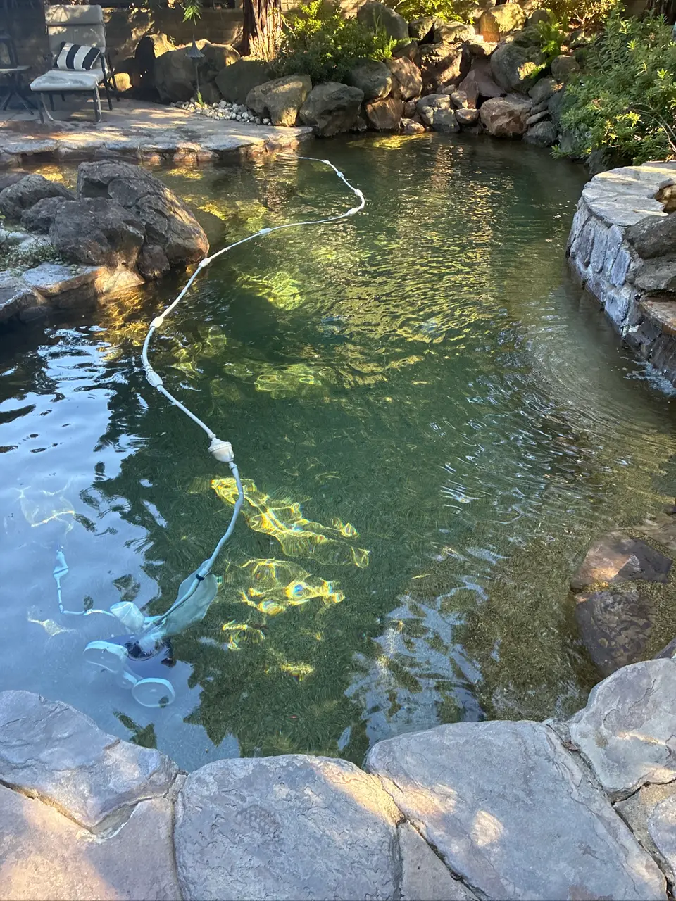 Clear, deep teal pool water reveals a pebble finish, surrounded by natural rockwork and lush landscaping, after pool service in Fair Oaks, CA