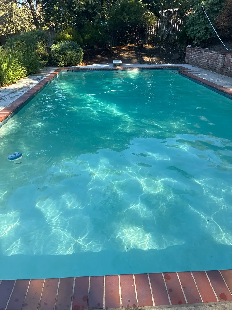 Clear turquoise water fills a rectangular pool with brick coping and surrounding trees and shrubs, after pool service in Fair Oaks, CA