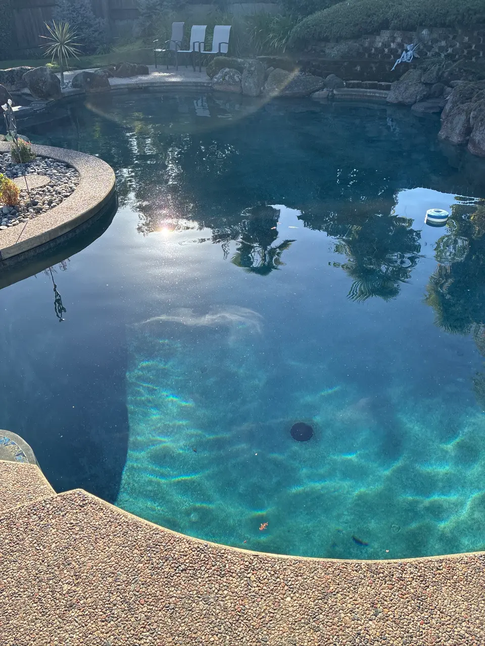 Clear, deep teal water fills a freeform pool bordered by rocks, pebble coping, and landscaping, after pool service in Fair Oaks, CA