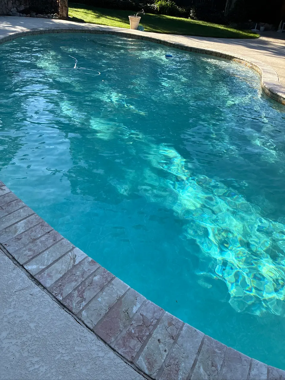Sparkling turquoise water fills a curved pool bordered by stone coping, waterline tile, and a landscaped lawn, after pool service in Fair Oaks, CA