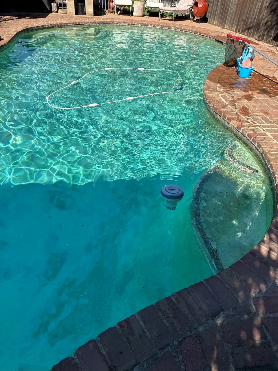 Clear turquoise water fills a curved pool with brick coping, rounded entry steps, and visible floor discoloration, after pool service in Fair Oaks, CA