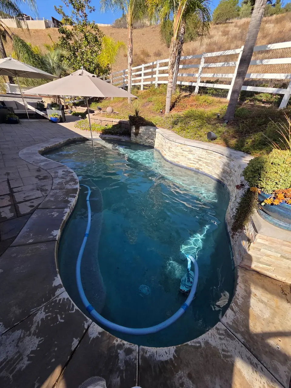 Clear blue water fills a curved pool bordered by stone walls, palms, and umbrella-shaded paving, after pool service in Fallbrook, CA