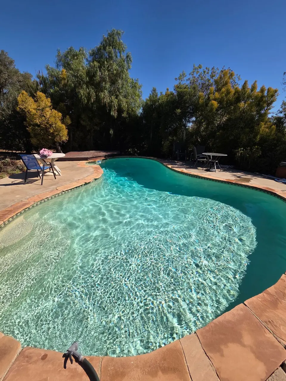 Sparkling turquoise water fills a freeform pool with a broad shallow entry, terracotta-colored coping, and surrounding trees, after pool service in Fallbrook, CA