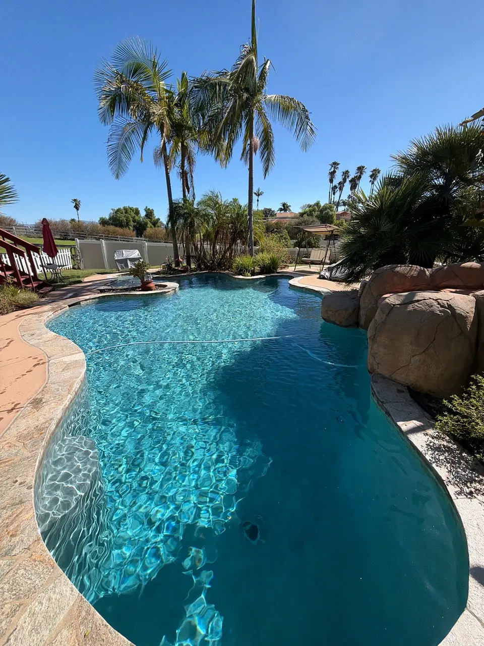 Sparkling blue water fills a freeform pool with submerged steps, stone coping, rock work, and palm landscaping, after pool service in Fallbrook, CA
