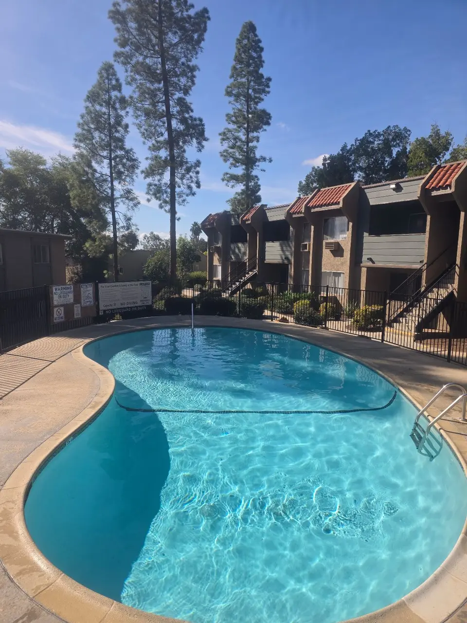 Sparkling blue water fills a curved pool with a ladder, divider rope, and surrounding concrete deck, after pool service in Fallbrook, CA
